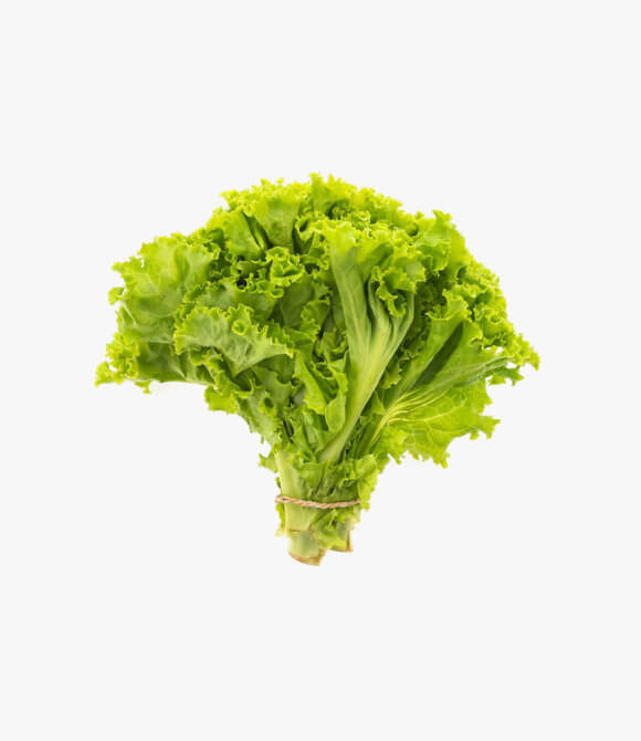 White vegetable healthy letus
